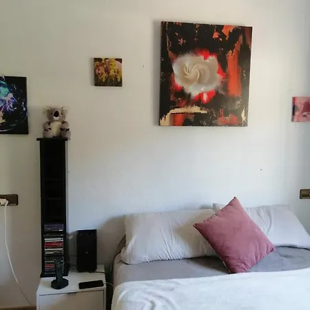 Entreamigos אל קאמפיו